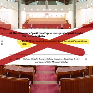 Photo of the Australian Senate. You can see the front page of the new NDIS Bill and a section from page 11 that reads "(1) The CEO may conduct a reassessment of a participant’s plan at any time." There is a big red cross painted over the top.