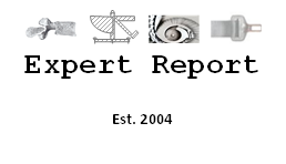 Expert Report