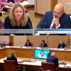 NDIA CEO Martin Hoffman and NDIS Scheme Actuary Sarah Johnson appearing before a Senate inquiry. Senator Jordon Steele-John appears by video link.