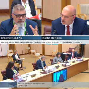 Screenshots from the Senate inquiry into COVID showing NDIA CEO Martin Hoffman, NDIS Quality and Safeguards Commissioner Graeme Head, Department of Social Services, Senator Jacquie Lambie via video.