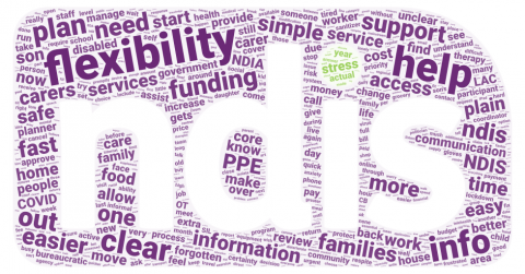 Word cloud in the shape and colours of the NDIS logo. There are hundreds of single words - the bigger ones were mentioned more frequently and include "flexibility", "help", "clear" "info", etc.