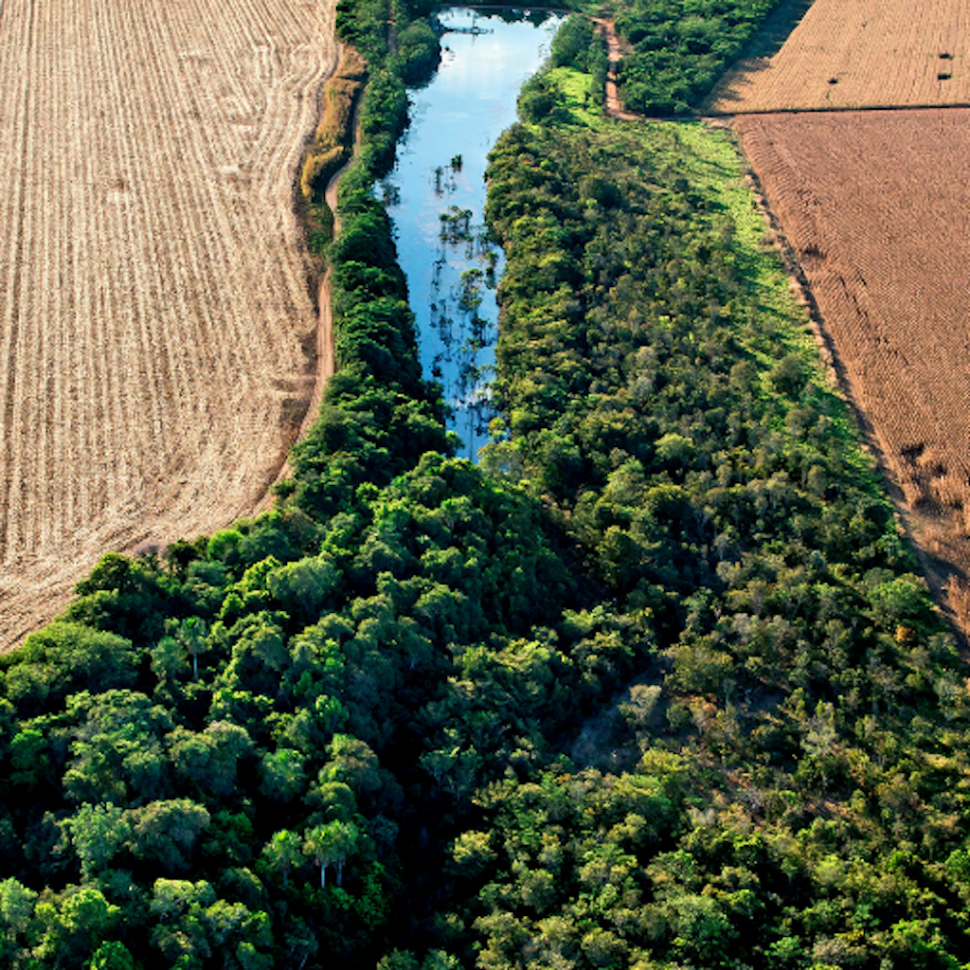 A luscious green waterway from above. On either side are crops in drought, in stark contrast.