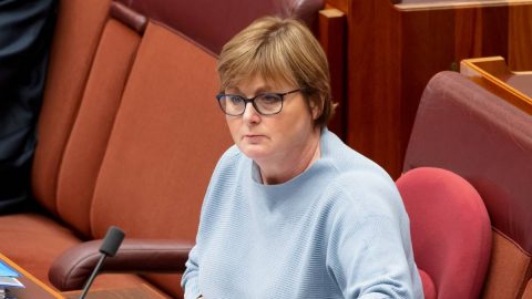 Linda Reynolds in Parliament